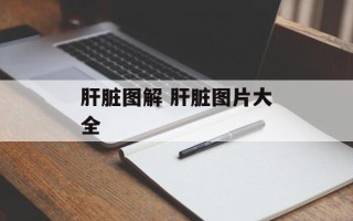 肝脏图解 肝脏图片大全