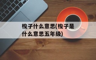 梭子什么意思(梭子是什么意思五年级)
