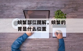 螃蟹部位图解，螃蟹的胃是什么位置