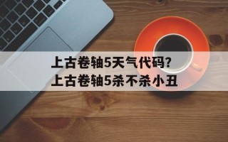 上古卷轴5天气代码？上古卷轴5杀不杀小丑