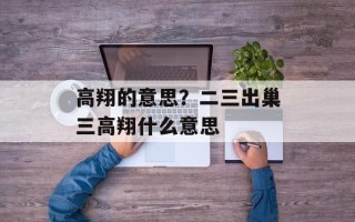 高翔的意思？二三出巢三高翔什么意思