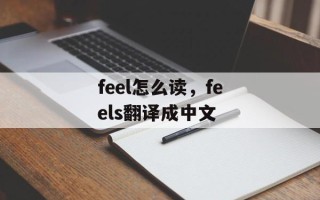 feel怎么读，feels翻译成中文