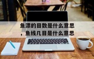 鱼漂的目数是什么意思，鱼线几目是什么意思