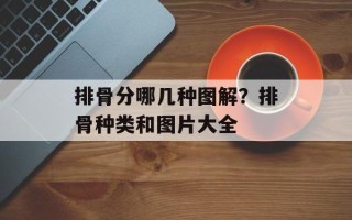 排骨分哪几种图解？排骨种类和图片大全