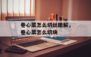 卷心菜怎么切丝图解，卷心菜怎么切块
