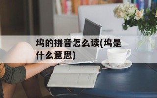 坞的拼音怎么读(坞是什么意思)