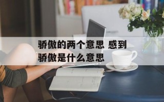 骄傲的两个意思 感到骄傲是什么意思