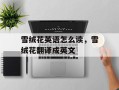 雪绒花英语怎么读，雪绒花翻译成英文
