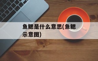 鱼鳃是什么意思(鱼鳃示意图)