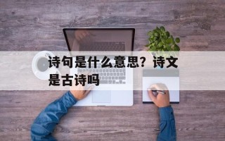 诗句是什么意思？诗文是古诗吗