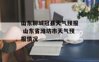 山东聊城冠县天气预报 山东省潍坊市天气预报情况