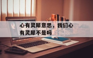 心有灵犀意思，我们心有灵犀不是吗