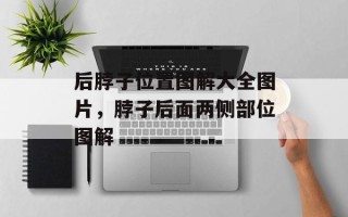 后脖子位置图解大全图片，脖子后面两侧部位图解