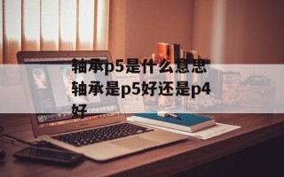 轴承p5是什么意思 轴承是p5好还是p4好
