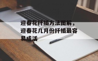 迎春花扦插方法图解，迎春花几月份扦插最容易成活