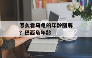 怎么看乌龟的年龄图解？巴西龟年龄