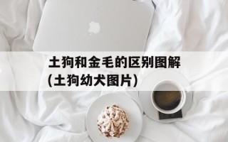 土狗和金毛的区别图解(土狗幼犬图片)