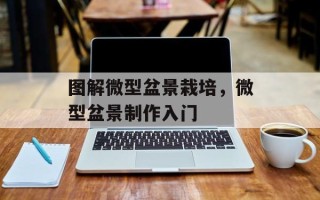 图解微型盆景栽培，微型盆景制作入门