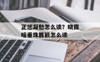 正恁凝愁怎么读？晓露暗垂珠簏簌怎么读