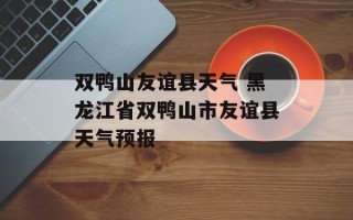 双鸭山友谊县天气 黑龙江省双鸭山市友谊县天气预报