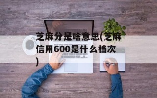 芝麻分是啥意思(芝麻信用600是什么档次)