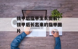 拔甲后指甲生长图解？拔甲后长出来的指甲图片