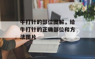 牛打针的部位图解，给牛打针的正确部位和方法图片