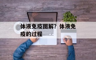 体液免疫图解？体液免疫的过程