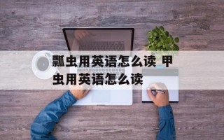 瓢虫用英语怎么读 甲虫用英语怎么读