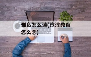 驯良怎么读(淳淳教诲怎么念)