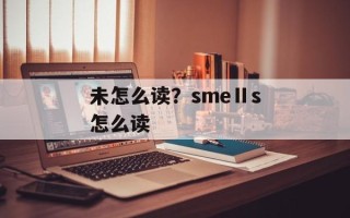 未怎么读？smeⅡs怎么读