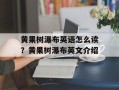 黄果树瀑布英语怎么读？黄果树瀑布英文介绍