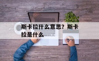 斯卡拉什么意思？斯卡拉是什么
