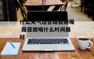 什么天气适合路亚翘嘴 路亚翘嘴什么时间最好