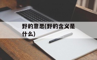 野的意思(野的含义是什么)