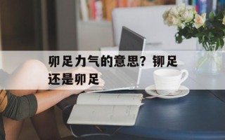 卯足力气的意思？铆足还是卯足
