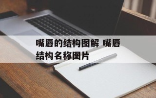 嘴唇的结构图解 嘴唇结构名称图片