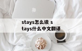 stays怎么读 stays什么中文翻译