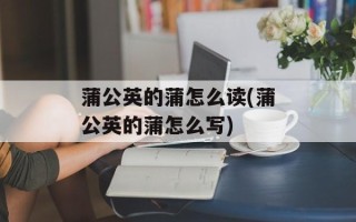 蒲公英的蒲怎么读(蒲公英的蒲怎么写)