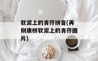 软泥上的青荇拼音(再别康桥软泥上的青荇图片)