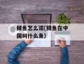 鲱鱼怎么读(鲱鱼在中国叫什么鱼)