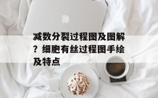 减数分裂过程图及图解？细胞有丝过程图手绘及特点