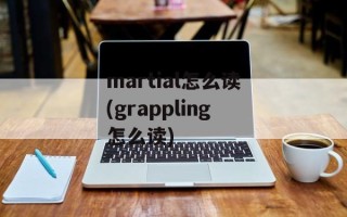 martial怎么读(grappling怎么读)