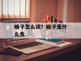 蝻子怎么读？蝻子是什么虫