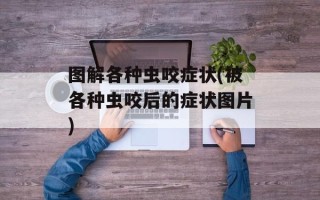 图解各种虫咬症状(被各种虫咬后的症状图片)