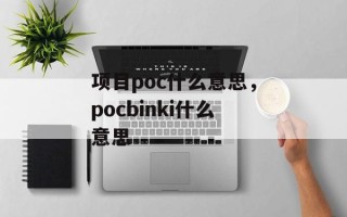 项目poc什么意思，pocbinki什么意思