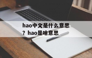 hao中文是什么意思？hao是啥意思