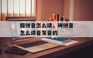 髓拼音怎么读，砷拼音怎么读音发音的