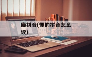 靡拼音(悝的拼音怎么读)