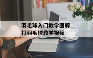 羽毛球入门教学图解 打羽毛球教学视频